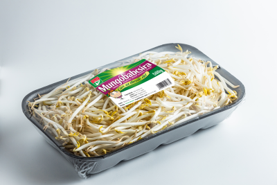 Mungbean sprout 500