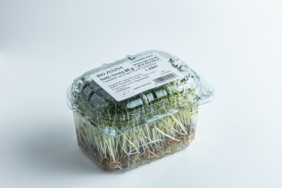 Watercress microgreens