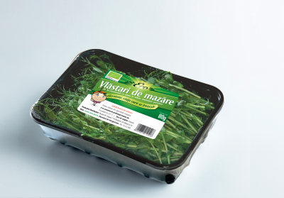 Vlăstari de mazăre