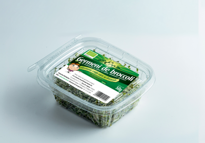 Germeni de broccoli