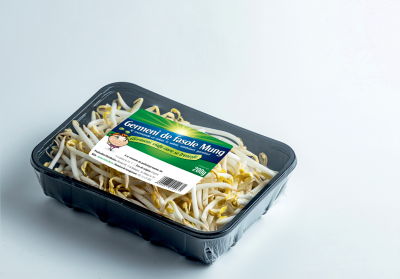 Germeni de fasole Mung