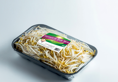 Germeni de fasole Mung 500